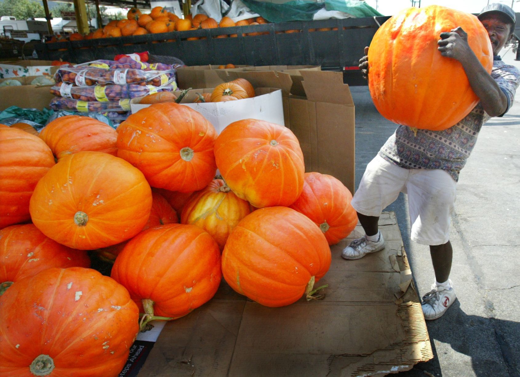 Floydada pumpkins